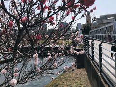 -横滨红砖仓库1号馆