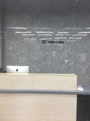 -INS羽毛接发·巴黎画染