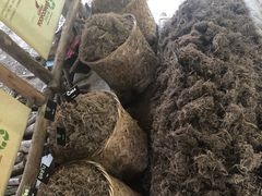 -大象粑粑造纸公园