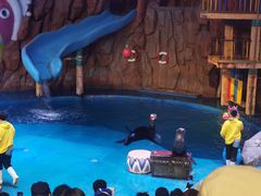 -烟台海昌鲸鲨海洋公园