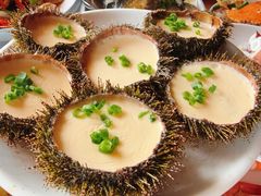 -蓝湾碧波·老字号·疍家非遗海上餐厅