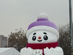 -沈阳奥体冰雪嘉年华