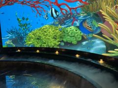 -唐宫足道·SPA·住宿24H会所(木渎店)