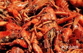Special Price Lobster