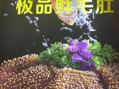 -清真军邺·金富苑肥牛城(海湖新区精品店)