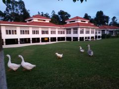 -云南滇池花园国际大酒店温泉