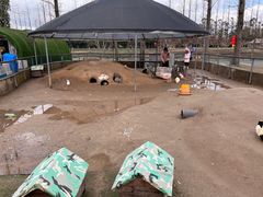 -前小桔亲子创意农场·草莓采摘·露营烧烤