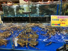 避风塘阿拉斯加帝王蟹-东江海鲜酒家(艺都分店)
