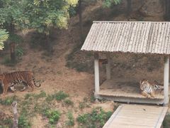 -石家庄市动物园