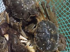 -刘祖富卤粉(洪湖总店)