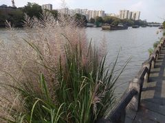 -运河游船(武林门码头)