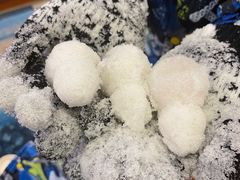 -世界之窗阿尔卑斯冰雪世界