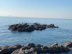 -银沙滩浴场