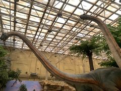 -国家自然博物馆