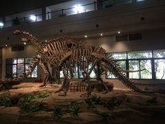 -自贡恐龙博物馆