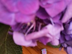 -二酉书店TOYOU BOOKS