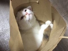 -美联众合24小时·皮肤科·外科·全科诊疗中心(华苑分院)