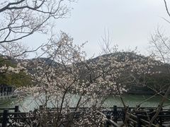 -白马涧龙池景区