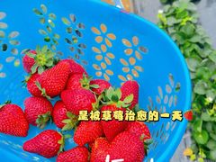 -长洲岛