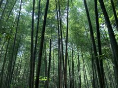 -鸡枕山