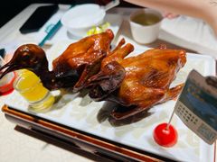 -大鸽饭(动物园店)