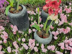 -石家庄市植物园