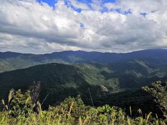 -海南霸王岭国家森林公园