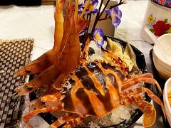 -鲜入围煮花胶鸡海鲜火锅