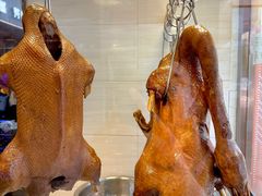 -陆记鹅庄·潮汕菜·狮头鹅(大仟里店)