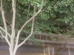 -老街烧烤大排档·地道湖北菜·龙虾馆(汉口火车站店)