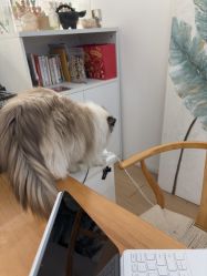 点击看大图 -Sugar苏格婚礼策划工作室