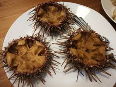 -海胆小馆(东北水饺·春柳店)