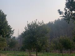 -黄陂区野村谷景区