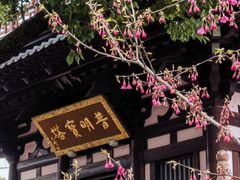 -寒山寺