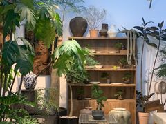 -自由生长植物工作室(深港花卉中心店)