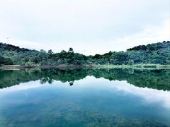 -海南热带雨林国家公园吊罗山景区