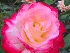 -人民公园(罗湖区)