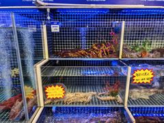 -开海·红岛海鲜虾水饺(石老人店)