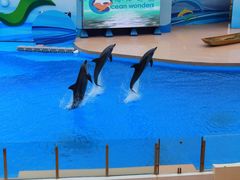-湾景餐厅(海洋公园店)