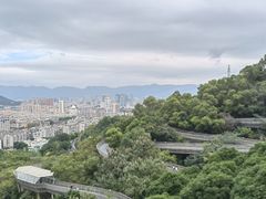 -福道
