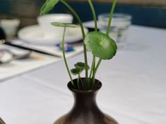 -野蔓果·山野菜(西湖景区·龙井茶田店)