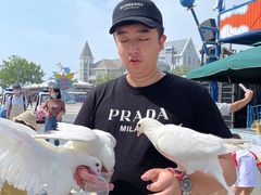 -烟台海昌鲸鲨海洋公园