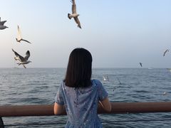 -东港音乐喷泉广场