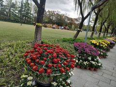 -上海大学(宝山校区)