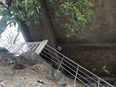 -大金鹰园