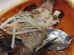 -一品粤珍轩(吴中路店)