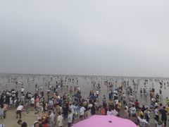 -碧海金沙