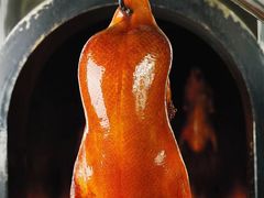 -老城味道·传统天津菜(杨柳青店)