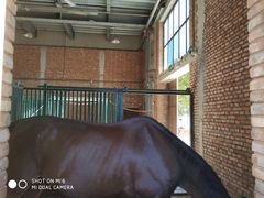 -酷鱼垂钓CLUB(朝阳区博大路店 )