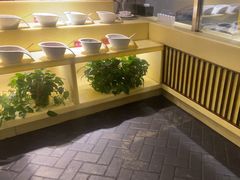 -宽坐火锅(万象城店)